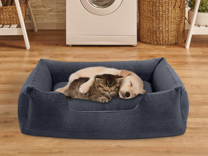 Animale de companie Intex